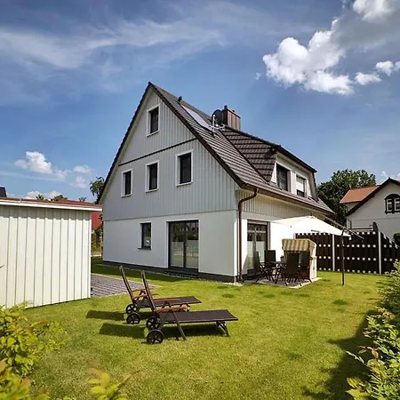 Seeschwalbe